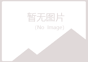 鹤壁鹤山水桃建设有限公司